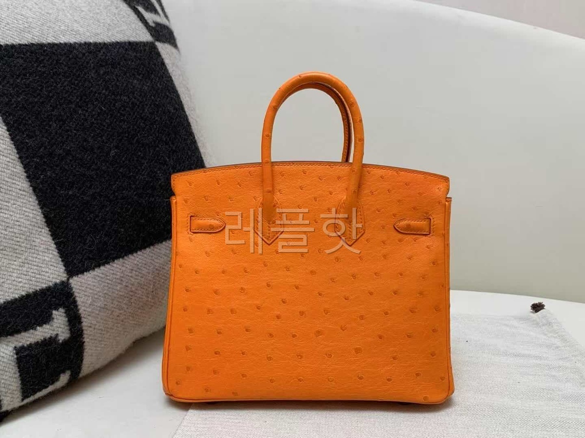 Hermès Birkin 25 Ostrich Orange x Palladium Hardware