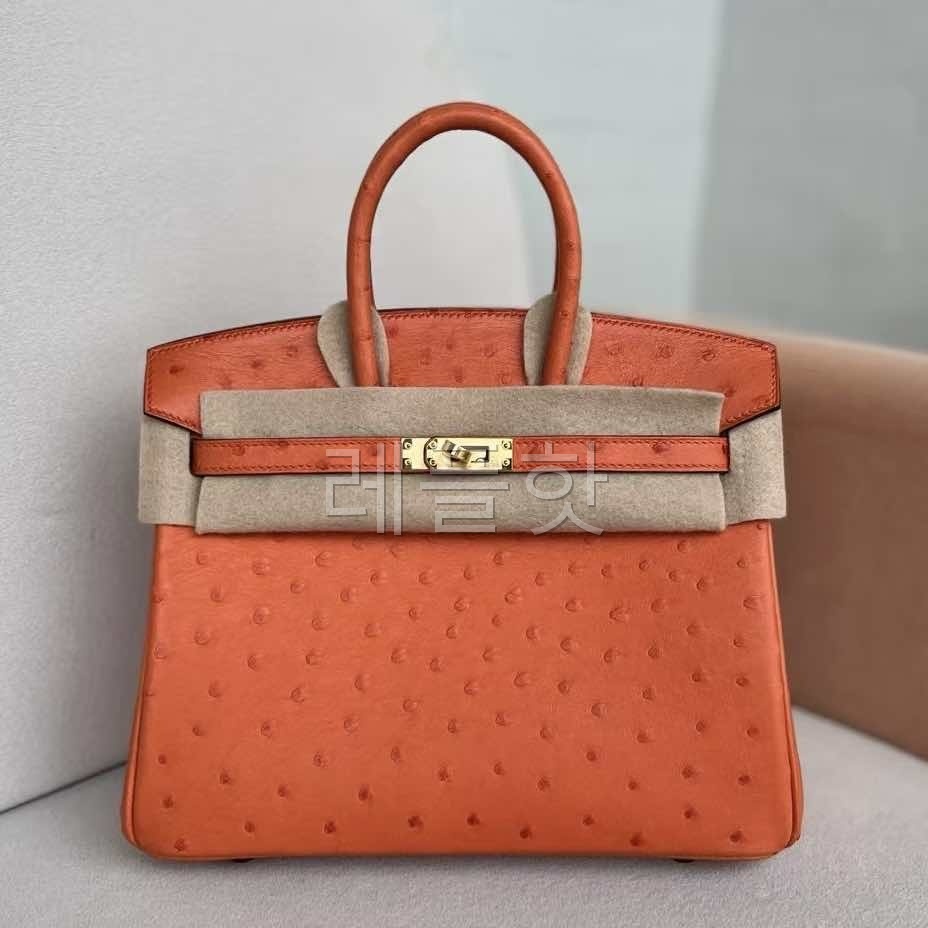 Hermès Birkin 25 Ostrich Feu x Gold Hardware
