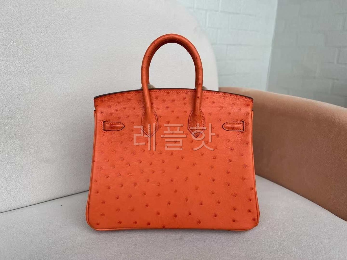 Hermès Birkin 25 Ostrich Feu x Gold Hardware