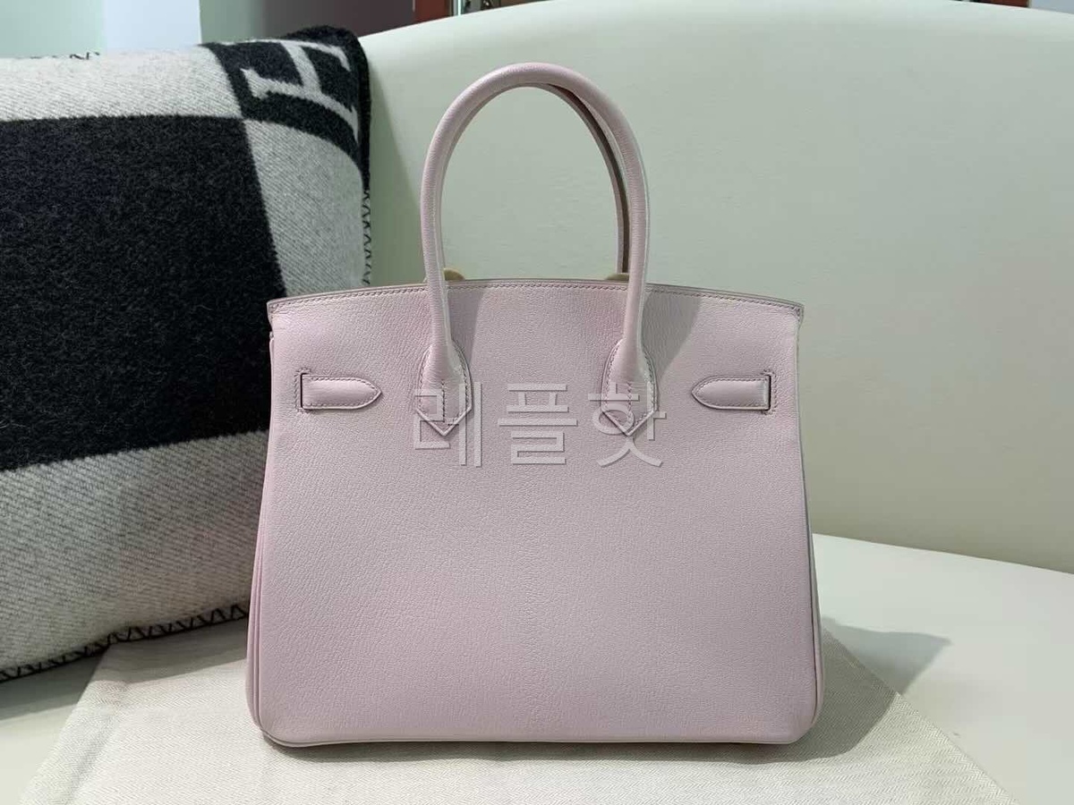 Hermès Birkin 25 Evercolor Mauve Pale x Gold Hardware(HCP)