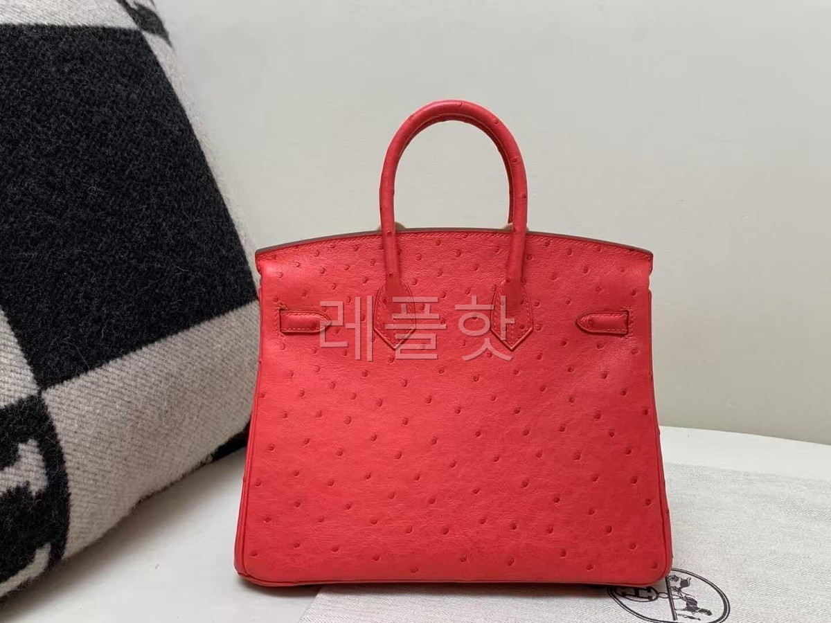 Hermès Birkin 25 Ostrich Rose Jaipur x Palladium Hardware