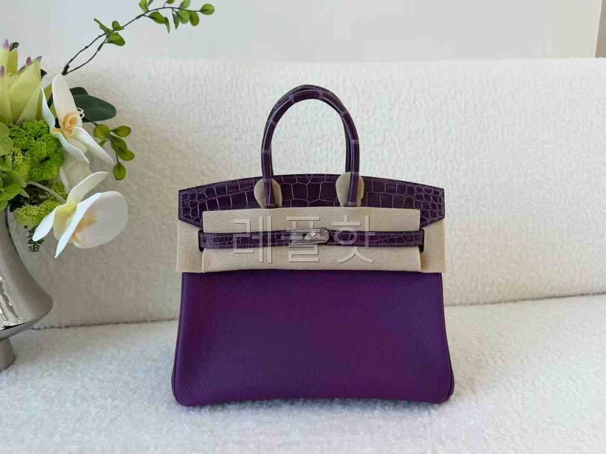 Hermès Birkin 25 Touch Togo Crystal Purple x Alligator x Palladium Hardware