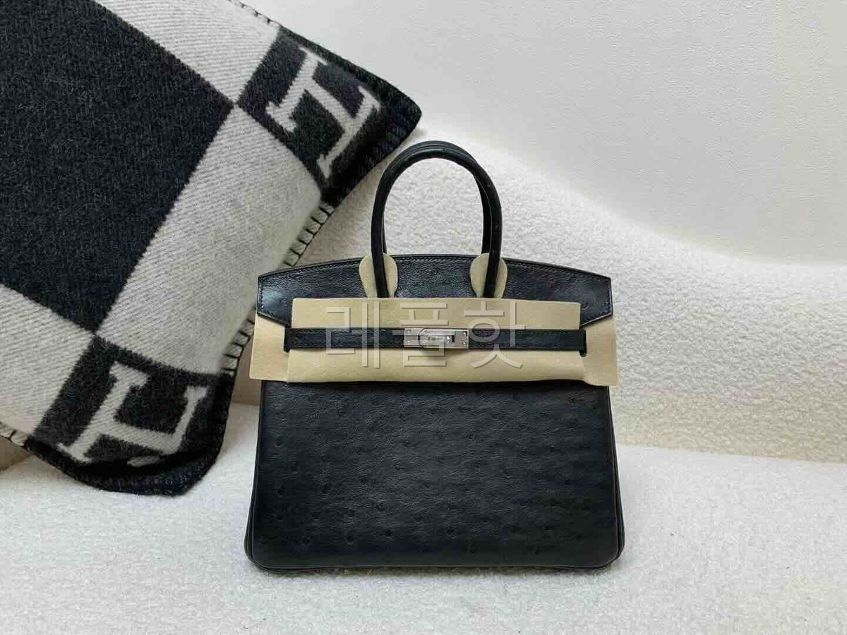 Hermès Birkin 25 Ostrich Noir x Palladium Hardware
