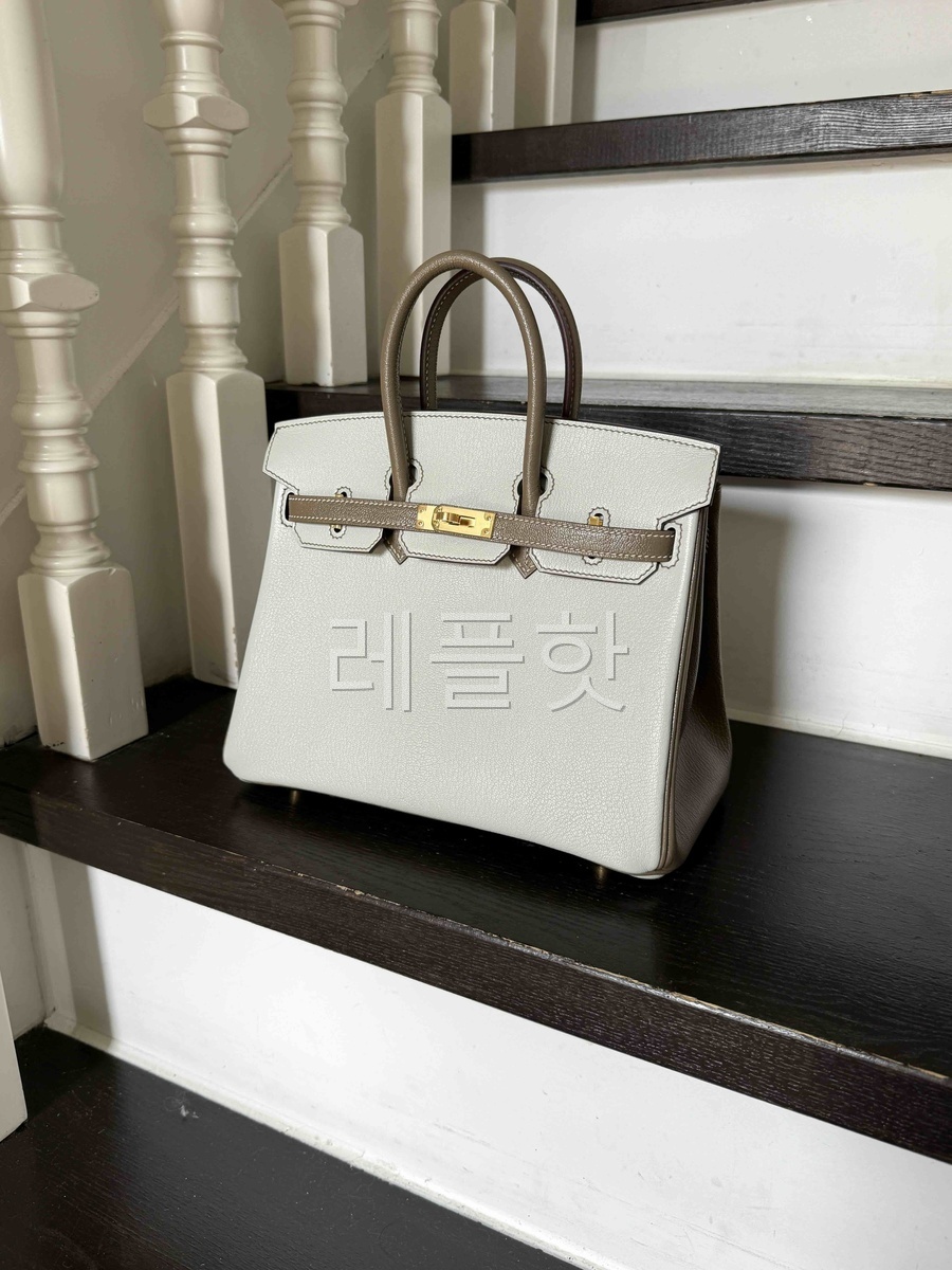 Hermes Birkin25 Chevre Mysore Epsom x Palladium Hardware