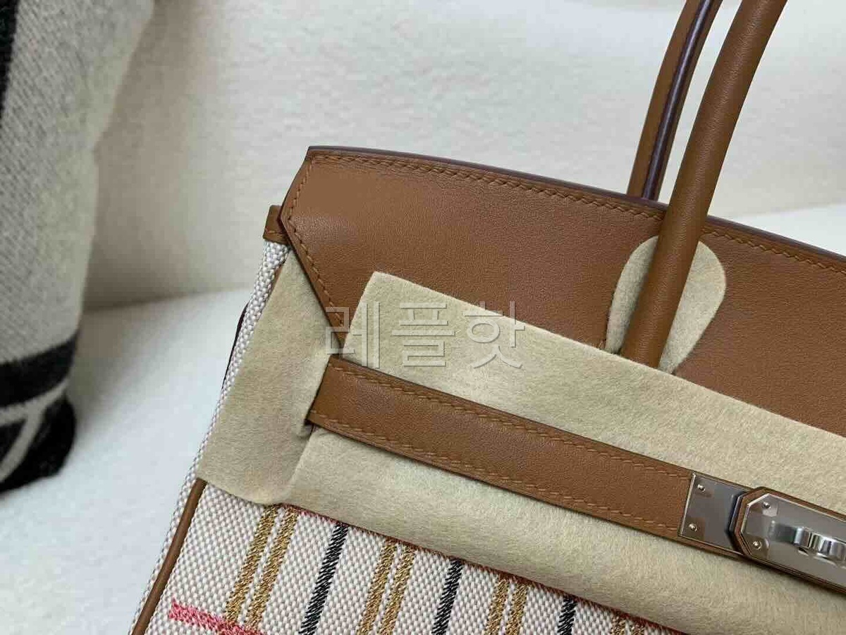 Hermès Birkin Shoulder 29 Embroidered Canvas Gold x Gold Hardware