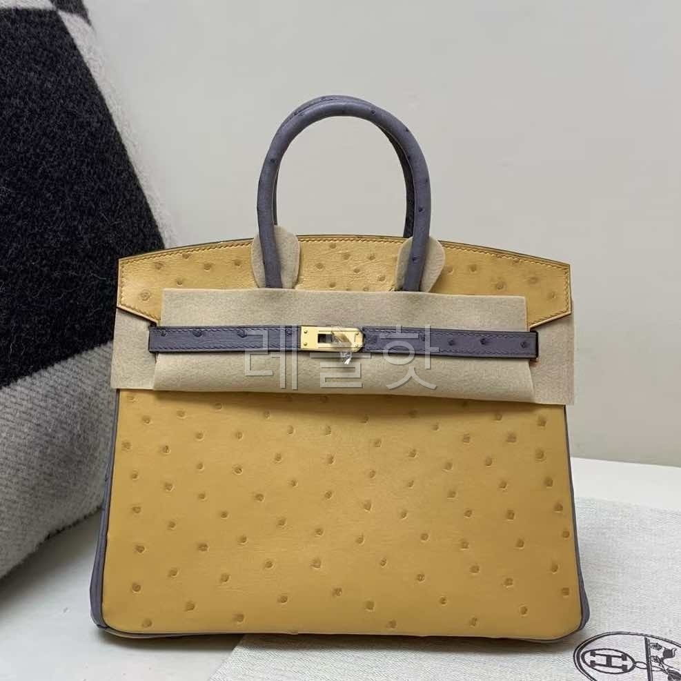 Hermès Birkin 25 Ostrich Curry & Violine x Gold Hardware