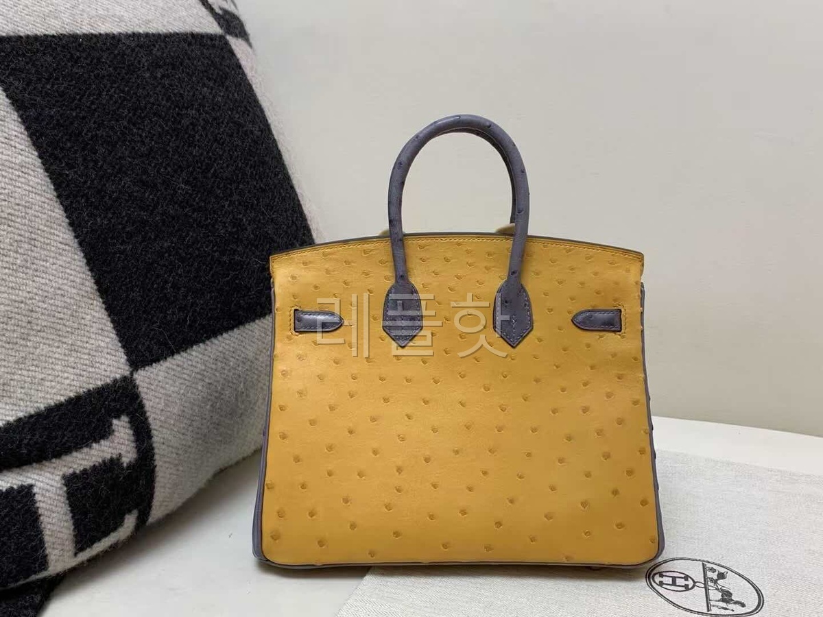 Hermès Birkin 25 Ostrich Curry & Violine x Gold Hardware