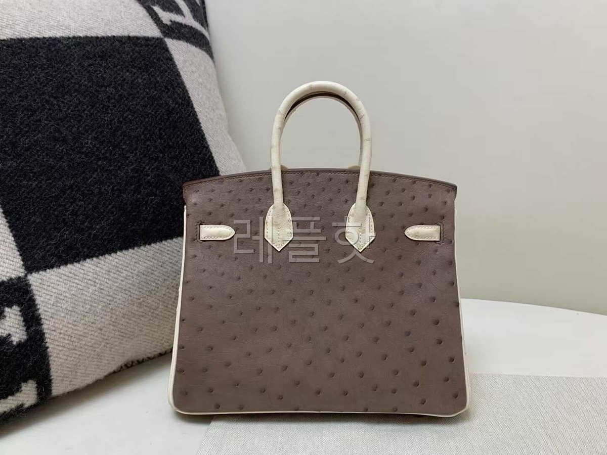 Hermès Birkin 25 Ostrich Moka & Nata x Gold Hardware
