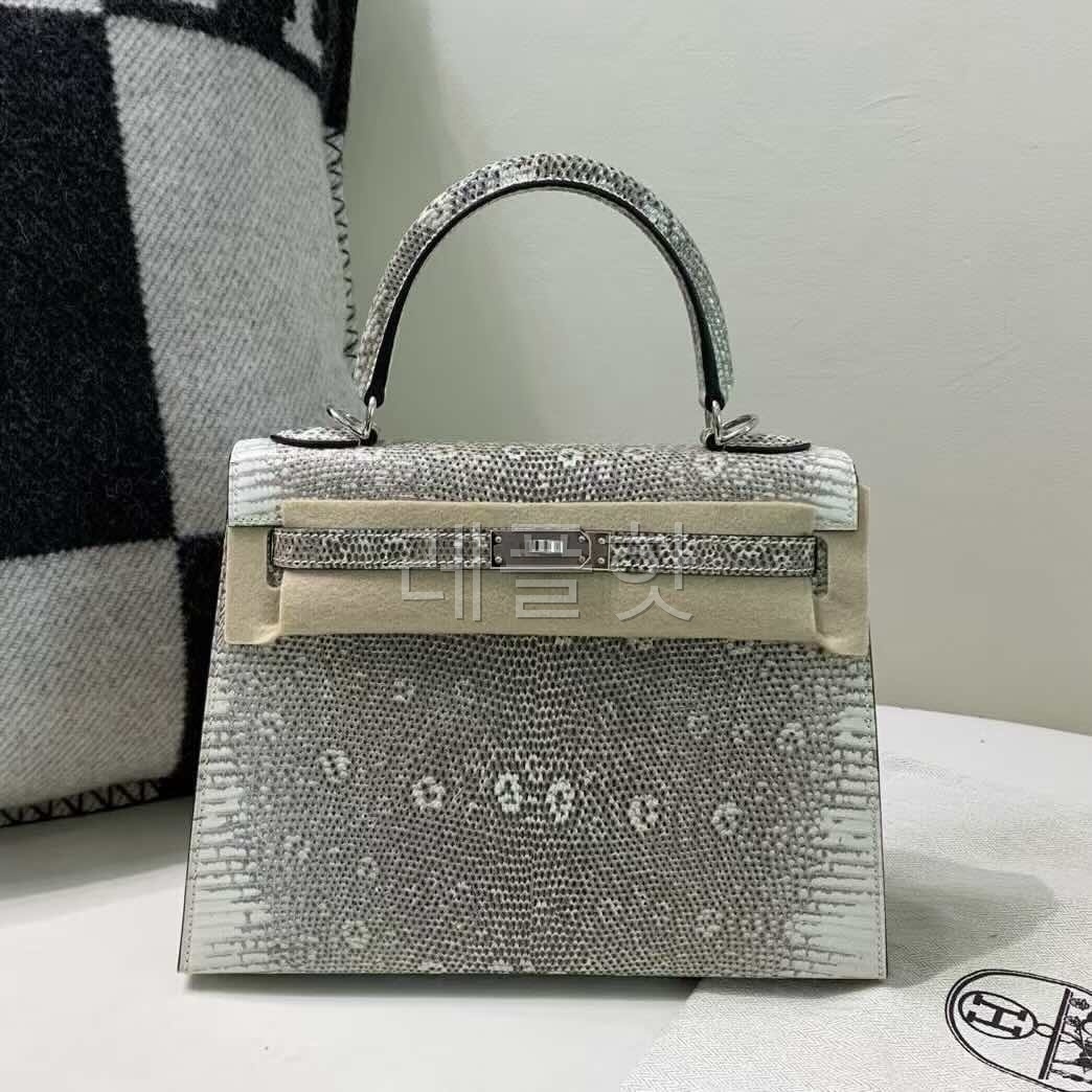 Hermès Kelly 25 Ombre Lizard Ombre x Palladium Hardware