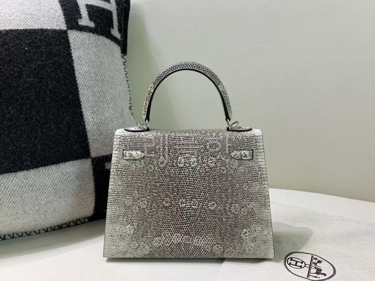 Hermès Kelly 25 Ombre Lizard Ombre x Palladium Hardware