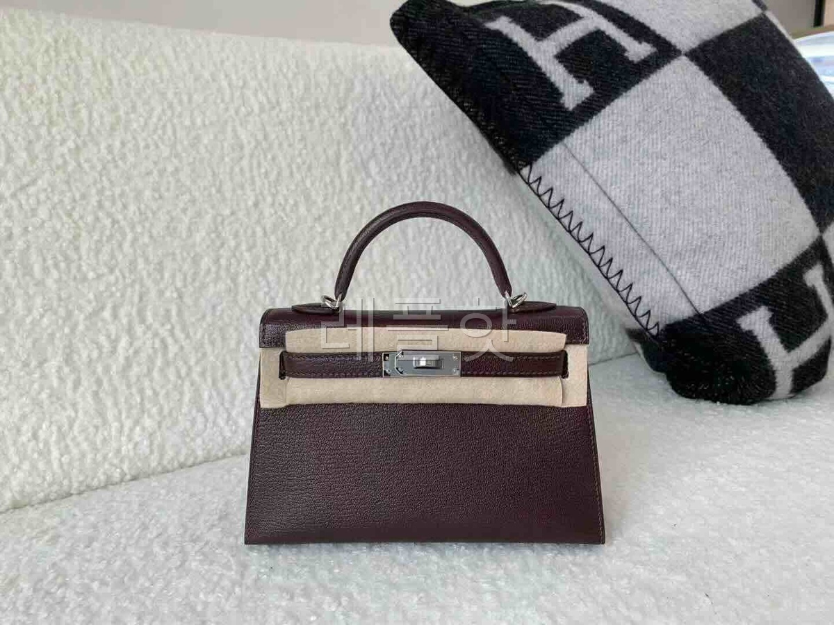 Hermès Mini Kelly II Chevre Rouge Sellier & Gold x Palladium Hardware