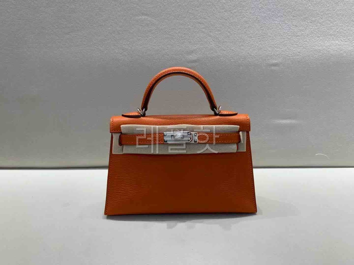 Hermès Mini Kelly II Chevre Orange & Gold x Palladium Hardware