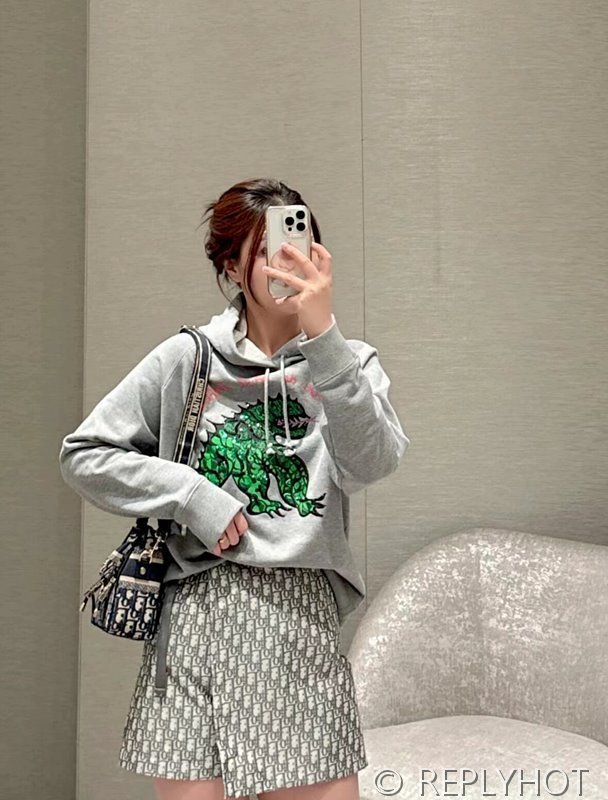 디올 공룡 자수 후드티