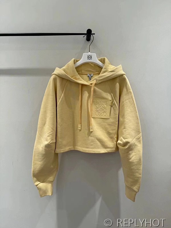 로에베 크롭 후드티 [매장가 240만원대]