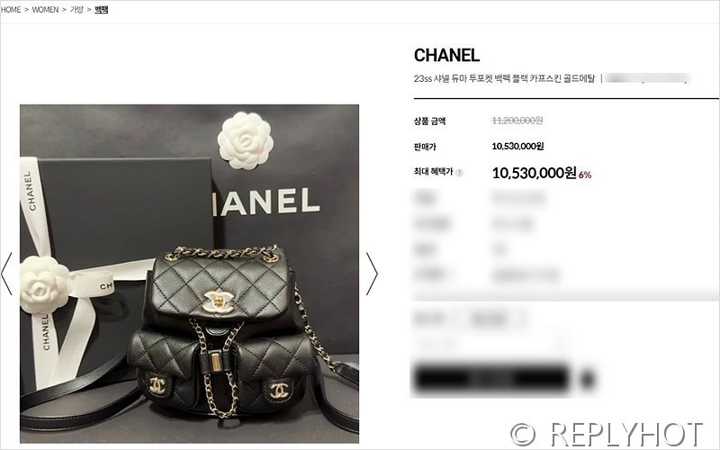 [하이엔드급] 샤넬 투포켓 듀마 백팩 [매장가 1000만원대]