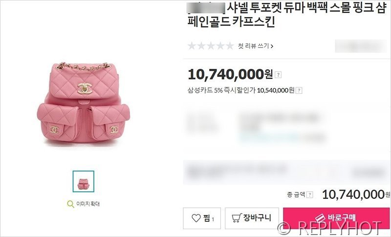 [하이엔드급] 샤넬 투포켓 듀마 백팩 [매장가 1000만원대]