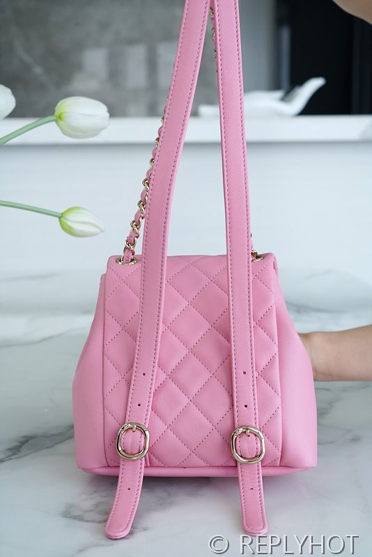 [하이엔드급] 샤넬 투포켓 듀마 백팩 [매장가 1000만원대]