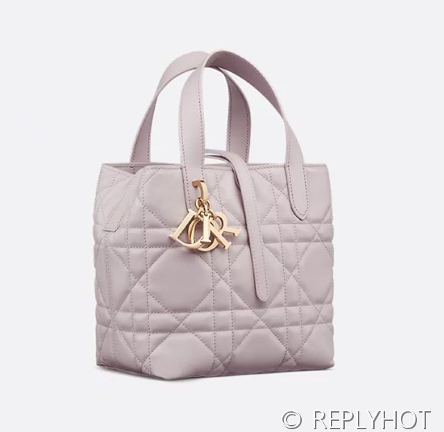 디올 Toujours 스몰 버티컬 토트백 [매장가 440만원대]