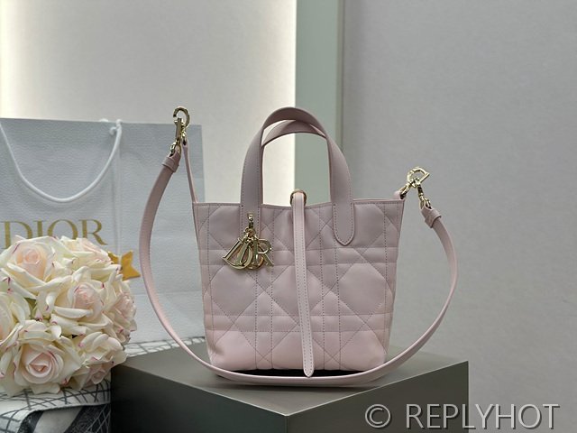 디올 Toujours 스몰 버티컬 토트백 [매장가 440만원대]