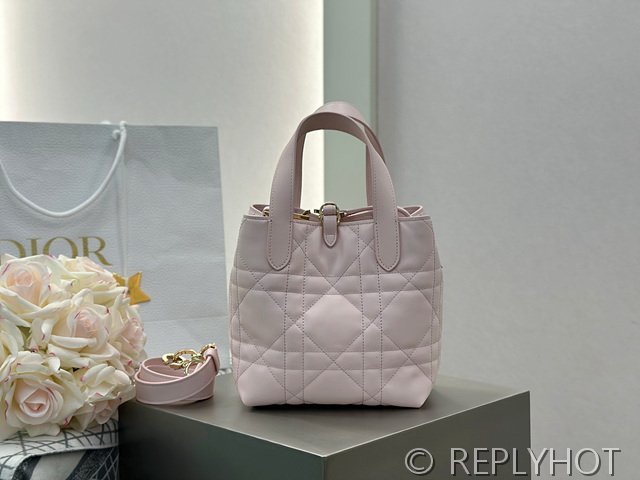 디올 Toujours 스몰 버티컬 토트백 [매장가 440만원대]