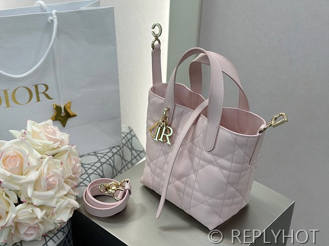 디올 Toujours 스몰 버티컬 토트백 [매장가 440만원대]