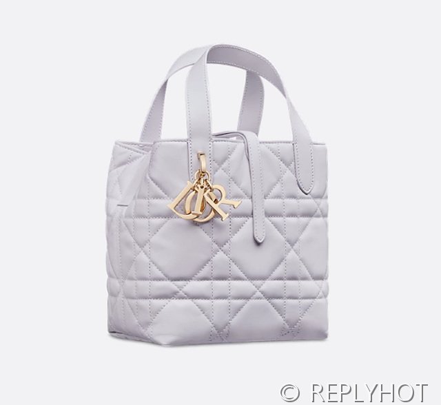 디올 Toujours 스몰 버티컬 토트백 [매장가 440만원대]