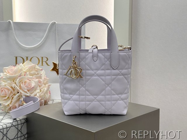 디올 Toujours 스몰 버티컬 토트백 [매장가 440만원대]