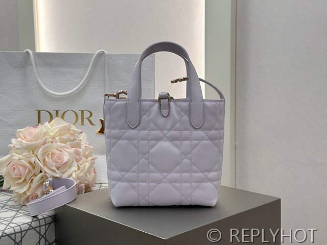 디올 Toujours 스몰 버티컬 토트백 [매장가 440만원대]