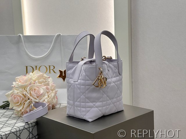 디올 Toujours 스몰 버티컬 토트백 [매장가 440만원대]