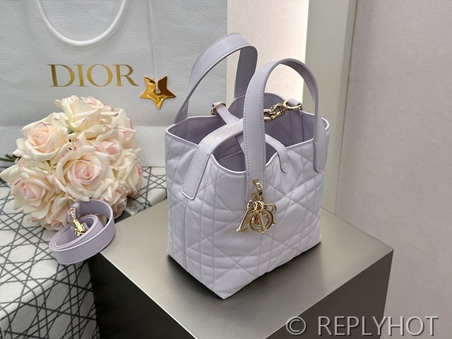 디올 Toujours 스몰 버티컬 토트백 [매장가 440만원대]