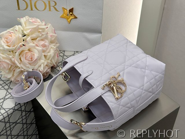 디올 Toujours 스몰 버티컬 토트백 [매장가 440만원대]