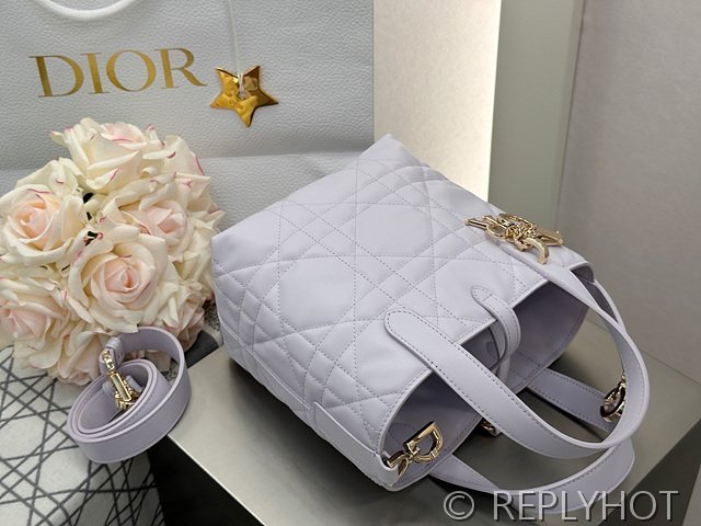 디올 Toujours 스몰 버티컬 토트백 [매장가 440만원대]