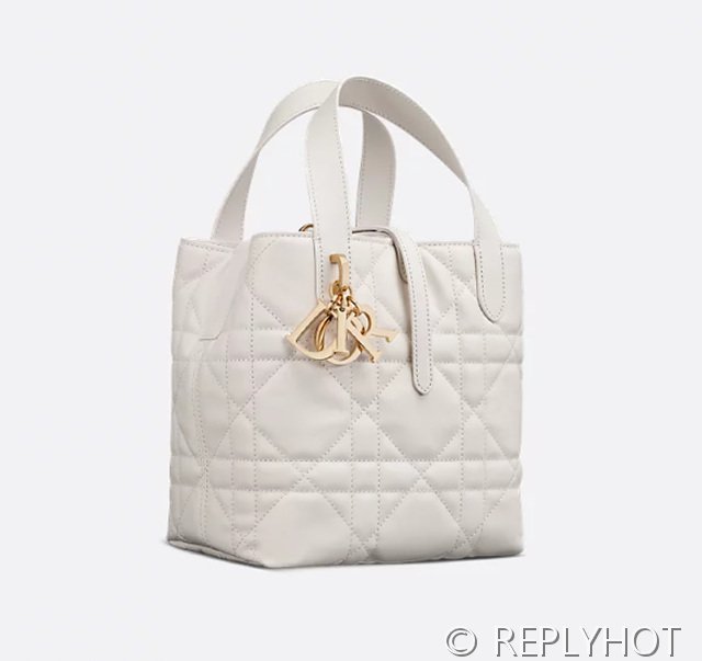 디올 Toujours 스몰 버티컬 토트백 [매장가 440만원대]