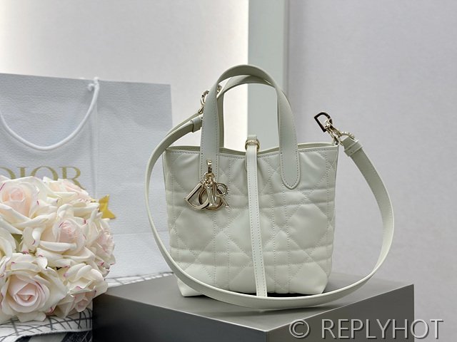 디올 Toujours 스몰 버티컬 토트백 [매장가 440만원대]