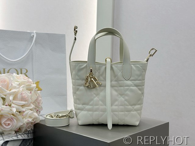 디올 Toujours 스몰 버티컬 토트백 [매장가 440만원대]