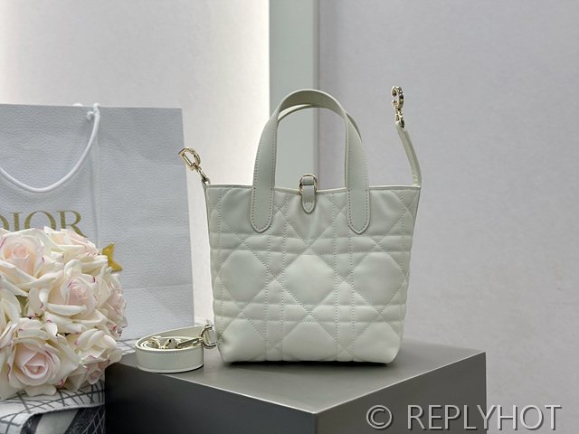 디올 Toujours 스몰 버티컬 토트백 [매장가 440만원대]