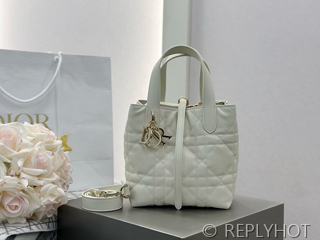 디올 Toujours 스몰 버티컬 토트백 [매장가 440만원대]