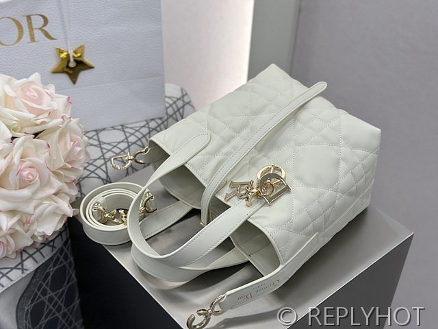 디올 Toujours 스몰 버티컬 토트백 [매장가 440만원대]