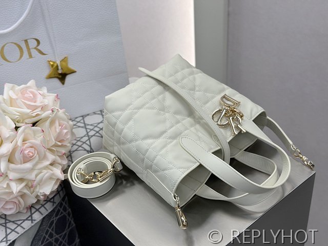 디올 Toujours 스몰 버티컬 토트백 [매장가 440만원대]