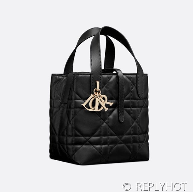 디올 Toujours 스몰 버티컬 토트백 [매장가 440만원대]