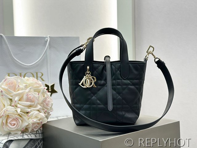 디올 Toujours 스몰 버티컬 토트백 [매장가 440만원대]