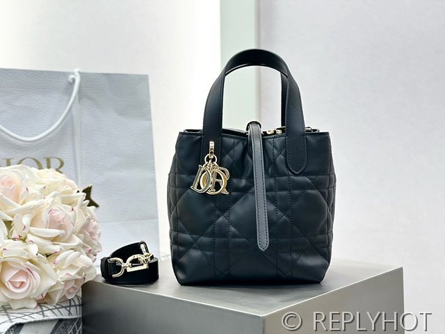 디올 Toujours 스몰 버티컬 토트백 [매장가 440만원대]