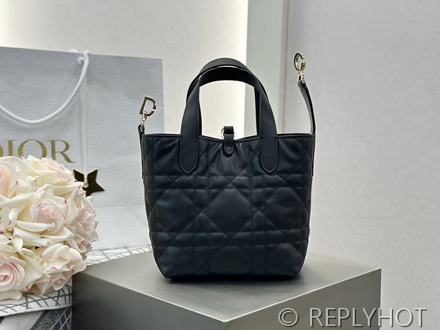 디올 Toujours 스몰 버티컬 토트백 [매장가 440만원대]