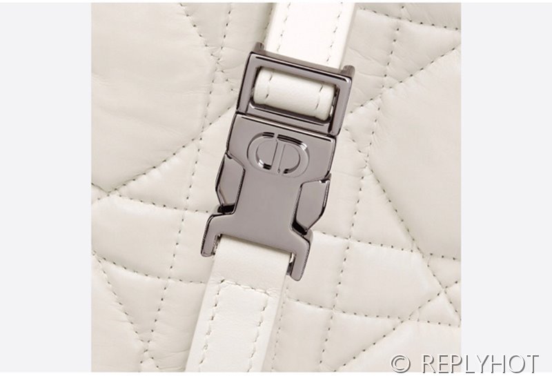 디올 노마드 파우치백 / 화이트 [매장가 350만원대]