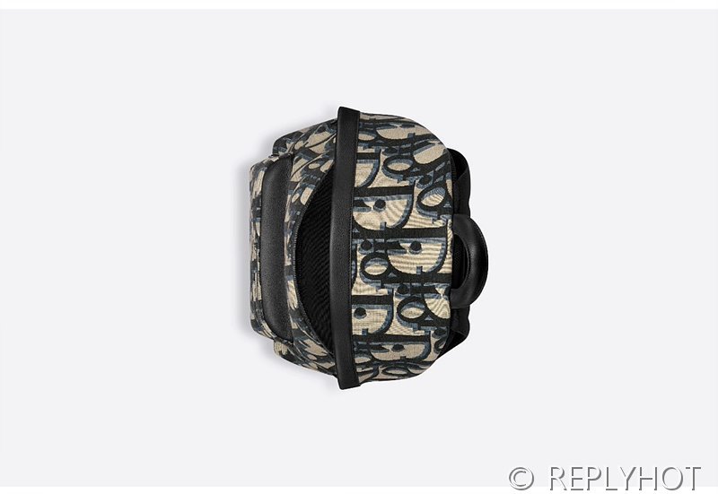 디올 라이더 백팩 [매장가 360만원대]