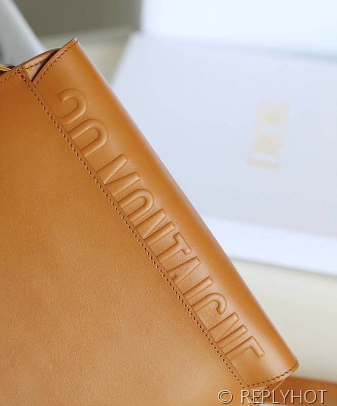 디올 바비 백 미디움 / 브라운 [매장가500만원대]