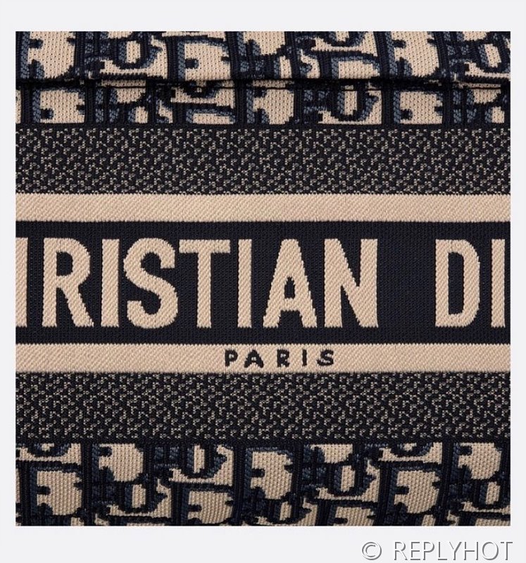 디올 DiorTravel 백팩 [매장가 400만원대]