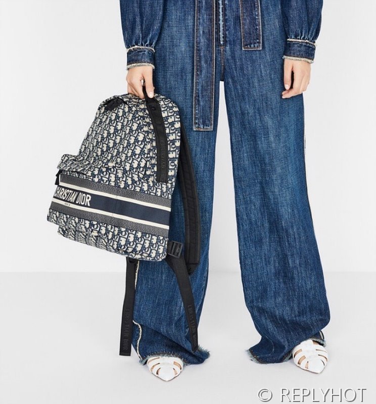 디올 DiorTravel 백팩 [매장가 400만원대]