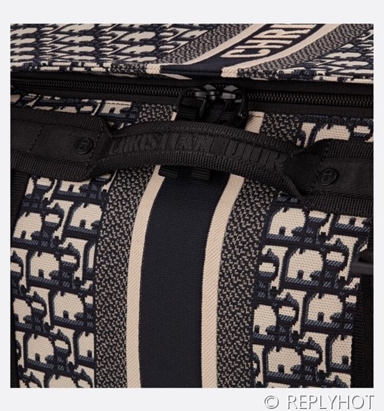 디올 DiorTravel 라지 백팩 [매장가 455만원대]