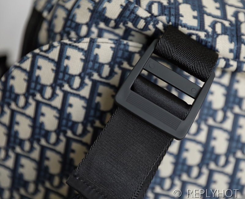 디올 DiorTravel 라지 백팩 [매장가 455만원대]